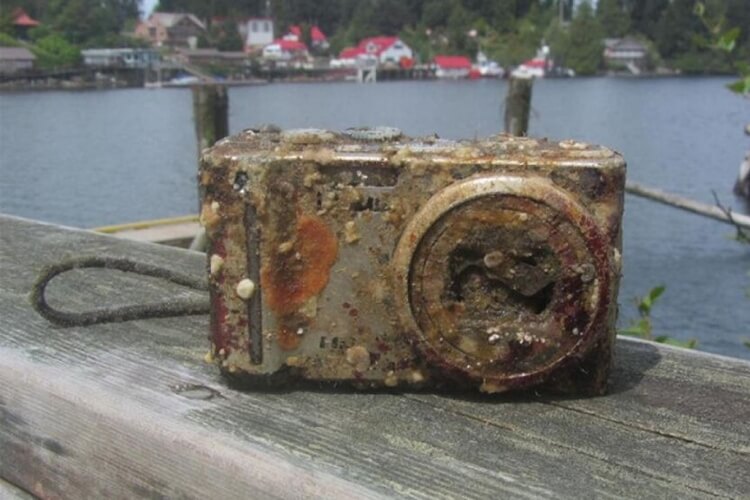 Les plongeurs trouvent un vieil appareil photo - quand ils voient les clichés, ils sont choqués 1592297819_eb05e971d186b0ca17ac524a17b22bc2ae798d07